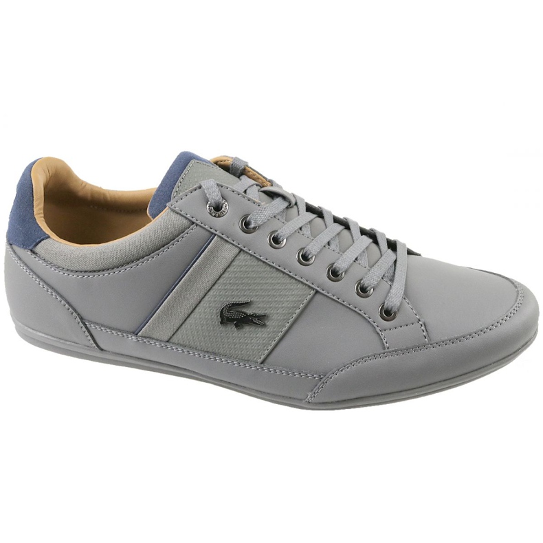 Sapatos Lacoste Chaymon 118 1 M CAM0011G1N81 cinza Sapatos Lacoste Chaymon 118 1 M CAM0011G1N81 cinza