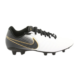 Sapatos de futebol Nike Tiempo Legend 7 Academia Fg M AO2596-100 branco