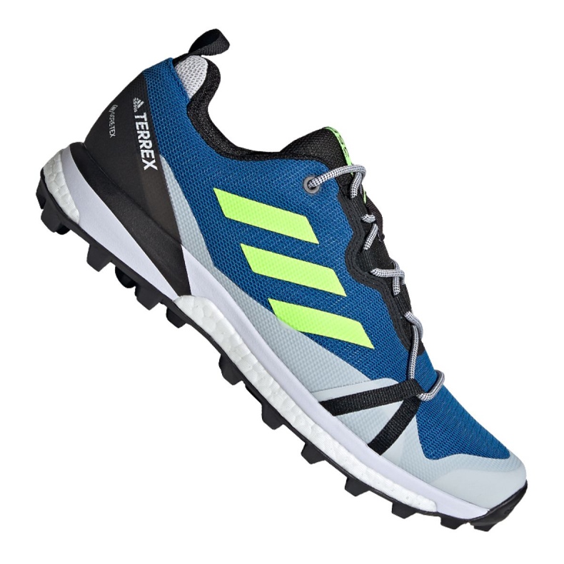 Sapatos Adidas Terrex Skychaser Lt Gtx M EH2427 azul multicolorido
