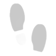 Bartek 78213 Sport Shoes palmilha de couro