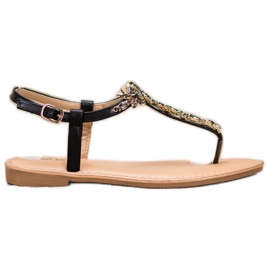 Small Swan Sandálias Elegantes Com Zircônia Cúbica preto