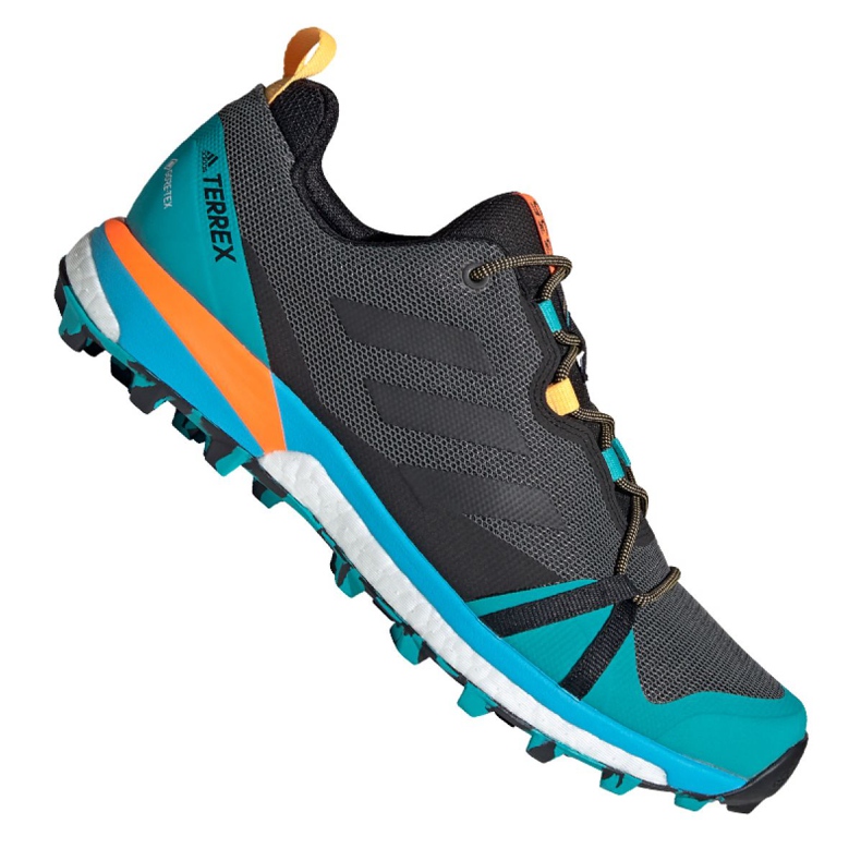Sapatos Adidas Terrex Skychaser Lt Gtx M FX0148 multicolorido azul