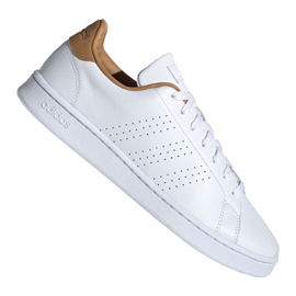 Sapatos Adidas Advantage M FV8509 branco
