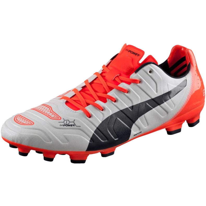 Puma Evo Power 1.2 Ag 103213 05 chuteiras cinza