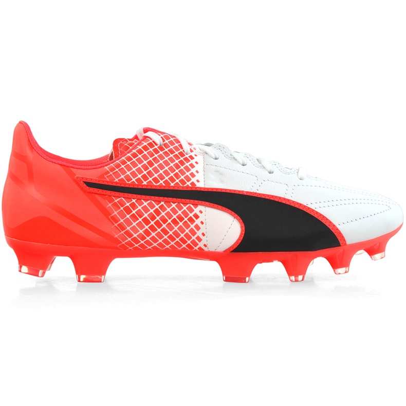 Botas de futebol Puma Evo Speed ​​3.5 Fg Couro 103794 01 azul, branco, preto multicolorido