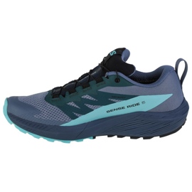 Sapatos Salomon Sense Ride 5 GTX M 471474 azul 1