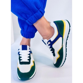Sapatilhas de mulher Cagle Green multicolorido 1