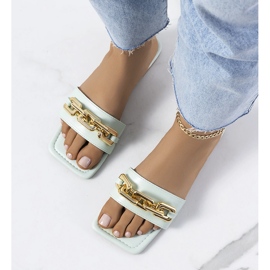Chinelos elegantes verdes com uma corrente Cherell 1