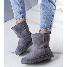 Hank botas de neve isoladas cinza 1