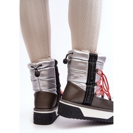 Botas de neve femininas com sola grossa Vegan D.Franklin DFSH371006 prata 1