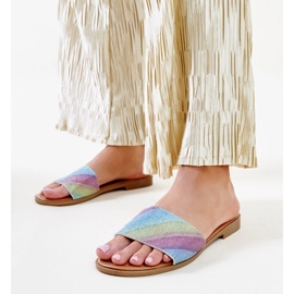 Chinelos Anilsa brilhantes multicoloridos 1