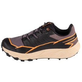 Sapatos Salomon Thundercross Gtx 476847 cinza 1