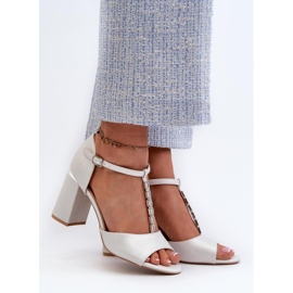 Step in style Sandálias Modelo Aniya 20195 Prata - Entre com estilo cinza 1