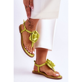 Step in style Sandálias flip-flop Modelo Carisma QQ-137 Lime - Entre com estilo verde 1