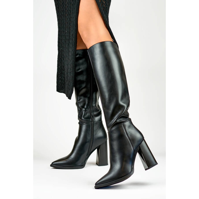 Botas femininas pontiagudas de salto alto, pretas GD-FL3038B preto 2