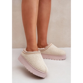 Botas femininas de neve com plataforma e bordado, bege claro 2