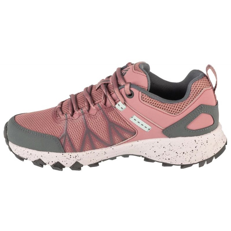 Columbia Peakfreak II Excluídos 2100101609 Sapatos Pink sujo com membrana rosa 1 Columbia Peakfreak II Excluídos 2100101609 Sapatos Pink sujo com membrana rosa 1