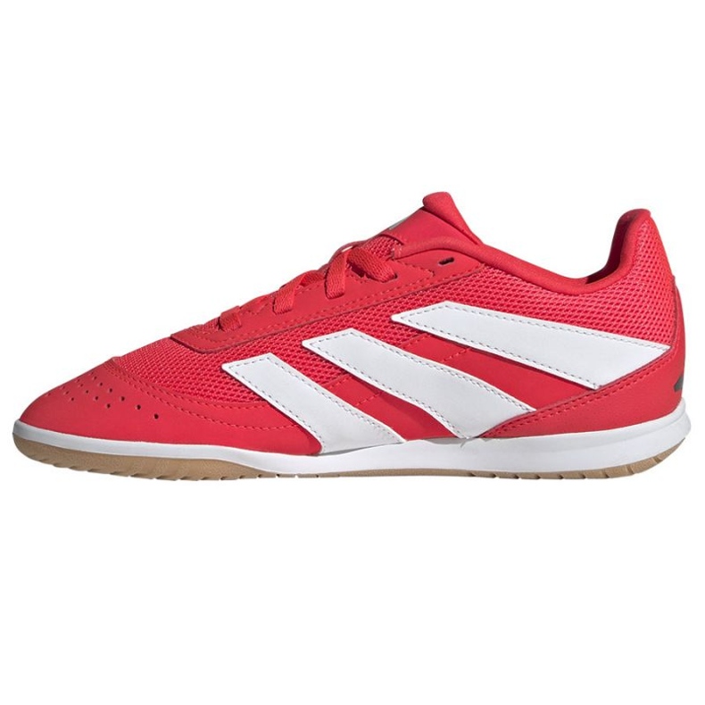 Adidas Predator Club Sala em JR3126 Red Shoes vermelho 1