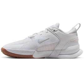 Nike Crosstcourt FN2231-100 Sapatos brancos 1