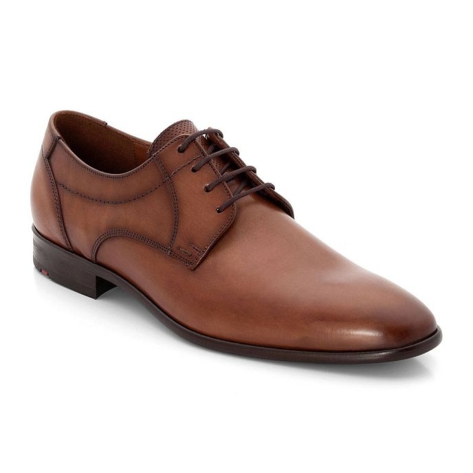 Sapatos masculinos de Lloyd Manon 19-168-12 Brown marrom 1