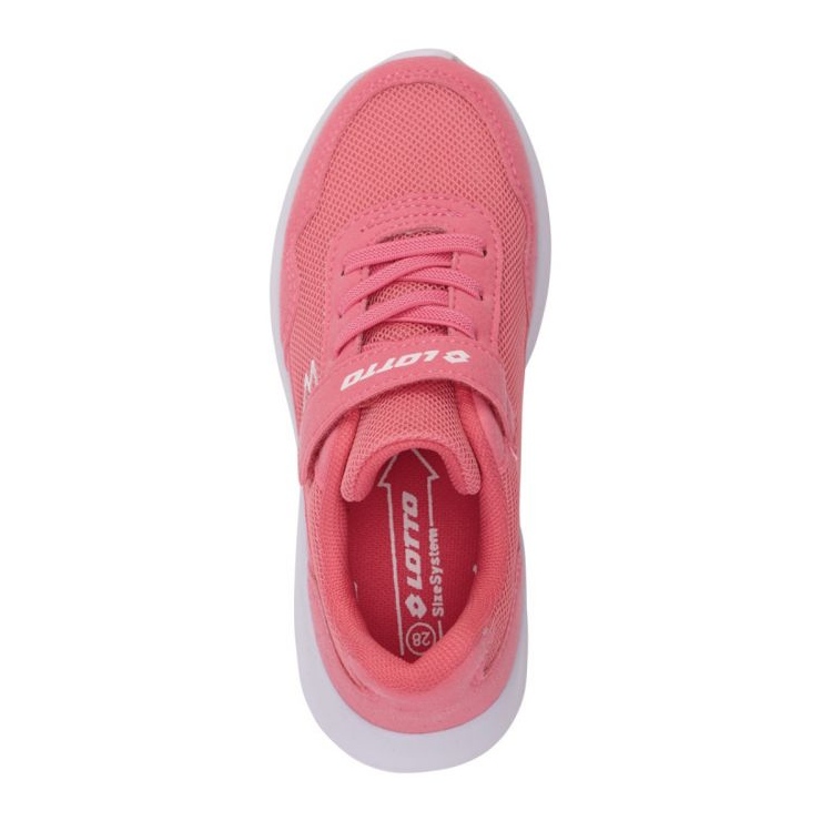 Lotto Connect K 2600000K 4310 Sapatos rosa 1
