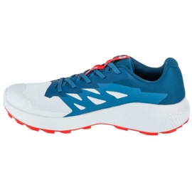 Salomon Alphaglide Ballad L47724300 tênis de corrida cinza 1