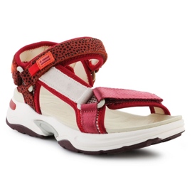 D.Franklin Sandálias D. Franklin Sneakers Sandal Strips DFSH406003-BURG vermelho 1
