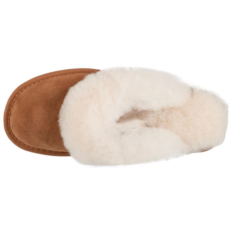 Emu Australia Slippers da EMU Austrália Jolie W10015-CHES castanho 2