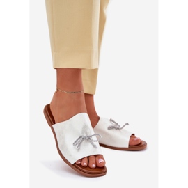 EVento Flipes de mulheres lisadas com uma encadernação de prata decorativa 1