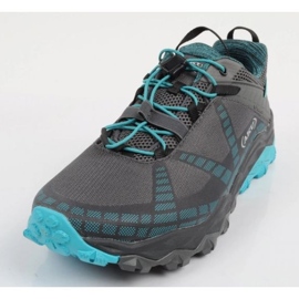 Aku Flyrock Gore-Tex 6991253 Sapatos cinza 2
