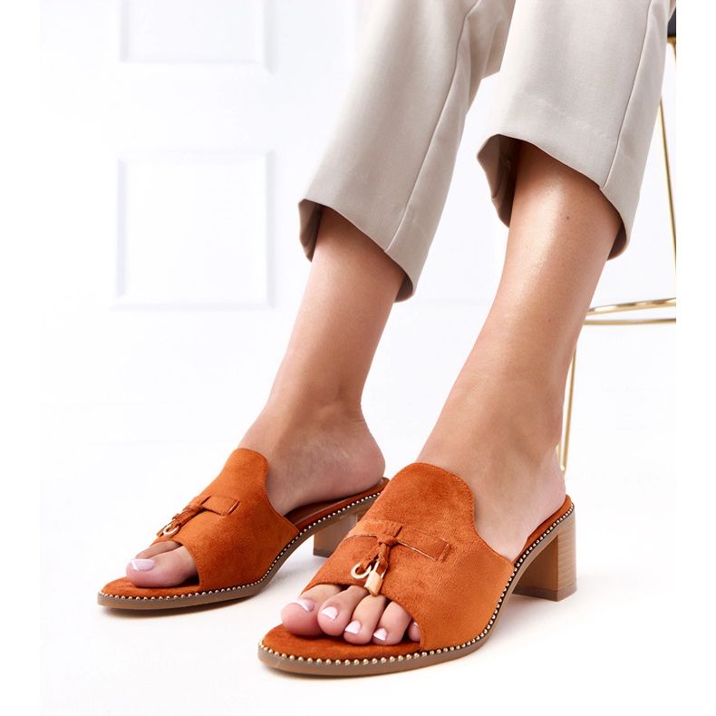 Flip -flops marrons no ornamento de bétula marrom 1