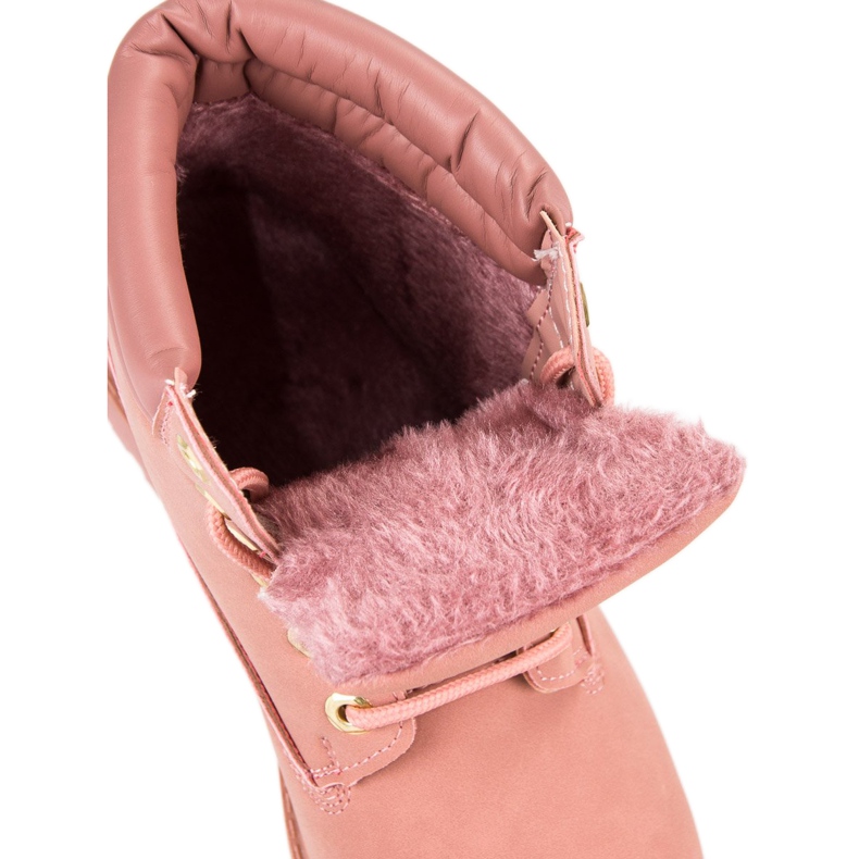 Caçadores de pólvora rosa 1 Caçadores de pólvora rosa 1