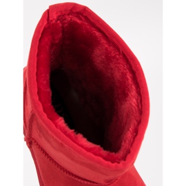 SDS Muclules vermelhos 1