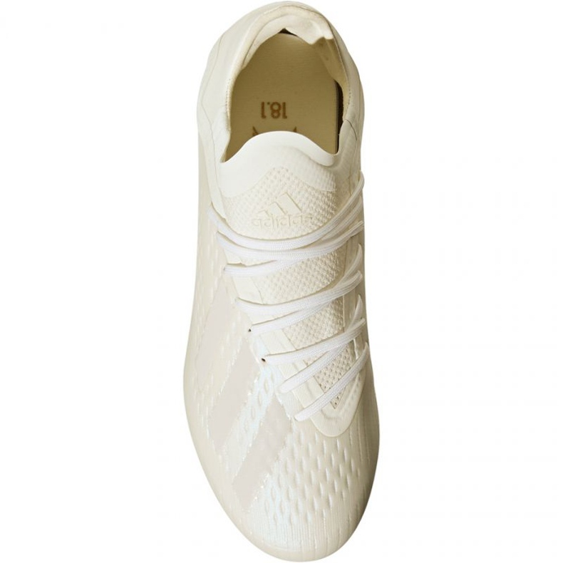 Chuteiras Adidas X 18.1 FG Jr DB2430 2