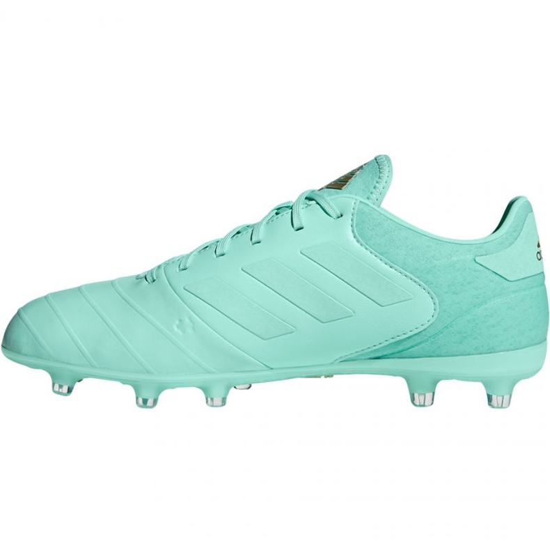 Chuteiras Adidas Copa 18.2 FG M DB2446 azul 2