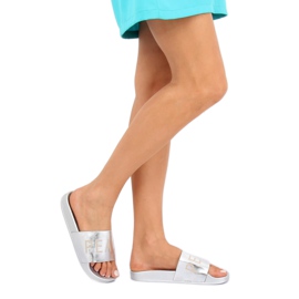 Chinelos metálicos prateados WL169 prateados cinza 1