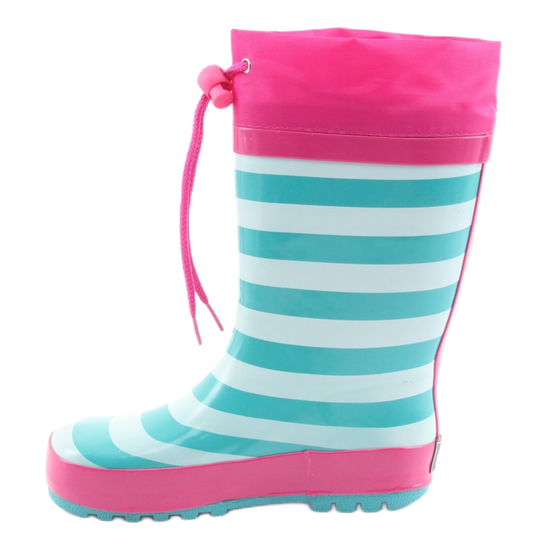 American Club Galochas americanas. Gatinho após a exposição rosa verde 2