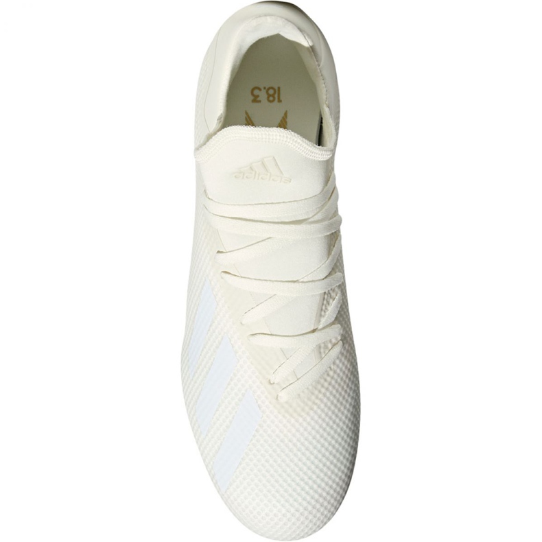 Chuteiras Adidas X 18.3 Fg M DB2184 multicolorido branco 2 Chuteiras Adidas X 18.3 Fg M DB2184 multicolorido branco 2