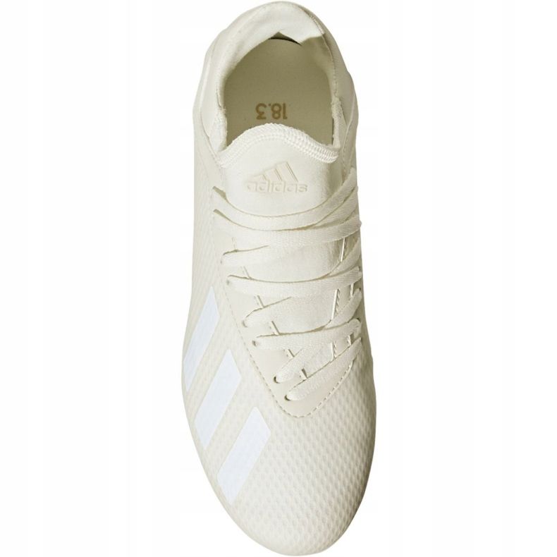 Chuteiras Adidas X 18.3 Fg Jr DB2417 multicolorido branco 2