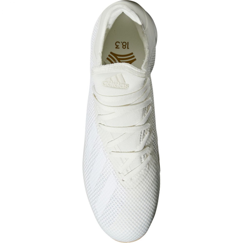 Sapatos de interior adidas X Tango 18.3 In M DB2439 branco bege 1 Sapatos de interior adidas X Tango 18.3 In M DB2439 branco bege 1