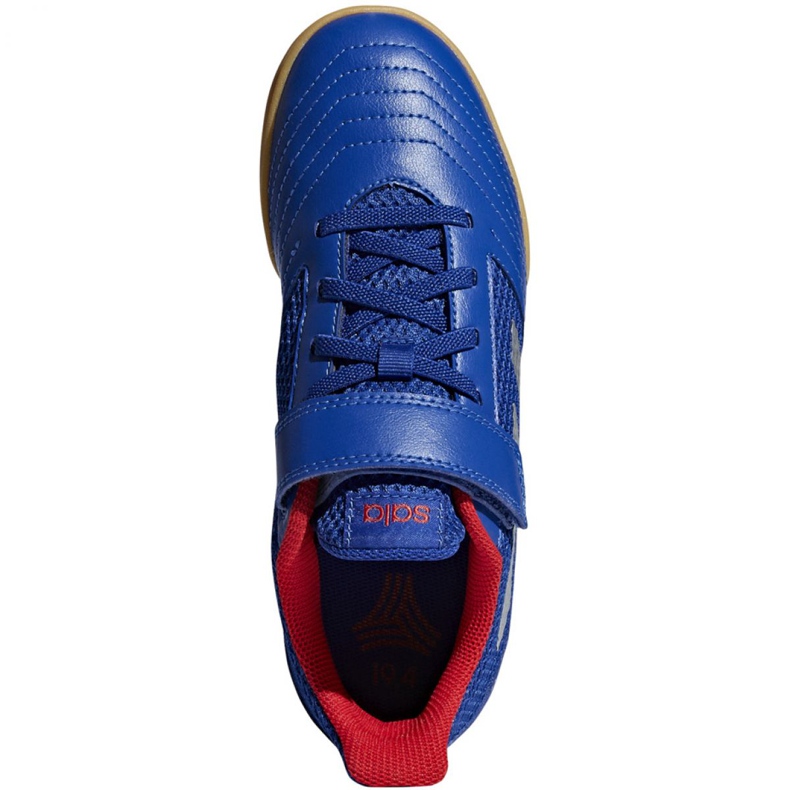 Sapatos de interior adidas Predator 19.4 In Sala Jr CM8550 azul azul 2