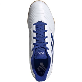 Sapatos de interior adidas Predator 19.4 In Sala M D97974 branco branco 2