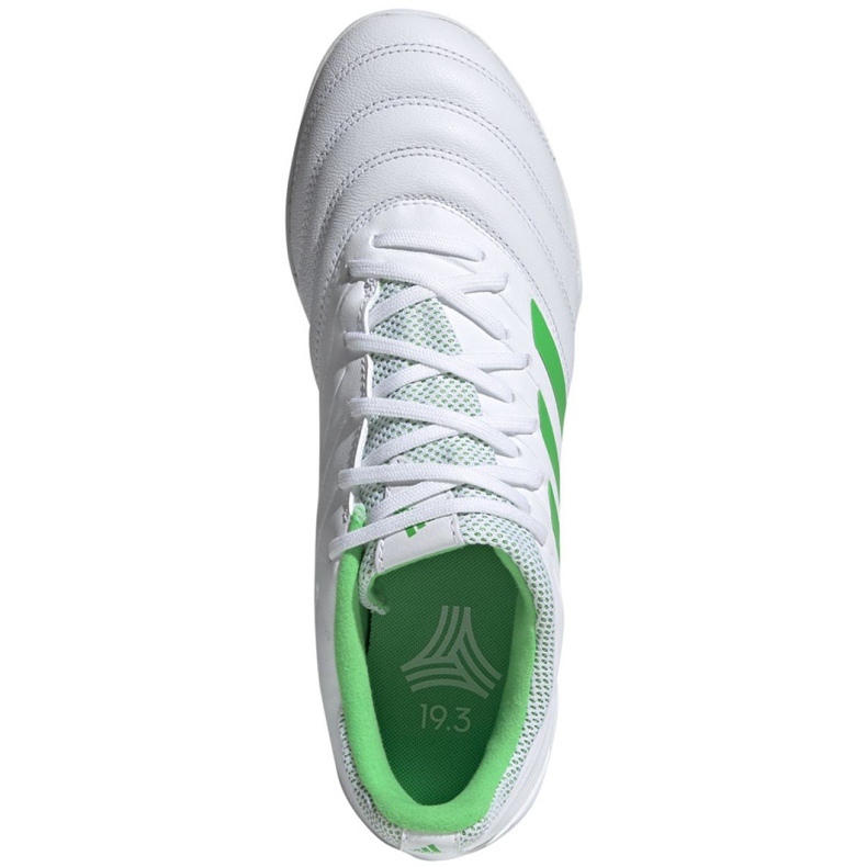 Chuteiras Adidas Copa 19.3 Tf M D98064 branco branco 1