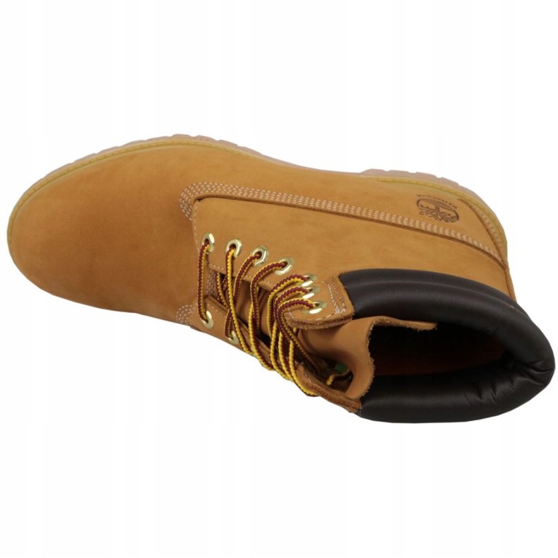 Sapatos de inverno Timberland 6 "Bota M 73540 amarelo 2