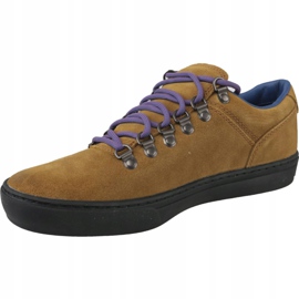 Sapatos Timberland Adv 2.0 Cupsole Alpine Ox M A1SHV marrom 1