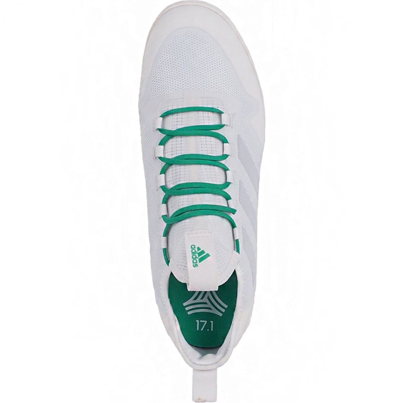 Chuteiras Adidas Ace Tango 17.1 In M BA8538 branco branco 2