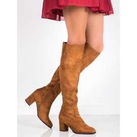 Clowse Botas altas de camurça castanho 1