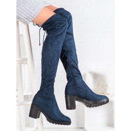 Small Swan Mosqueteiros de camurça em um pilar azul 2