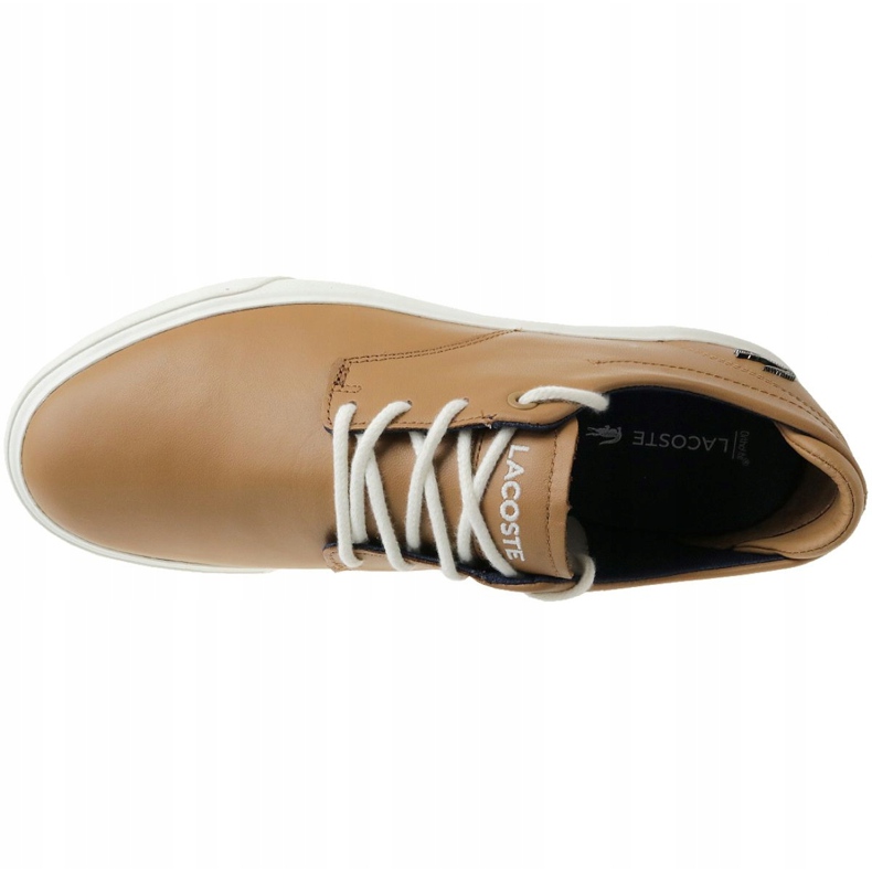 Lacoste Esparre 118 1 M CAM0023BW7 castanho 2 Lacoste Esparre 118 1 M CAM0023BW7 castanho 2