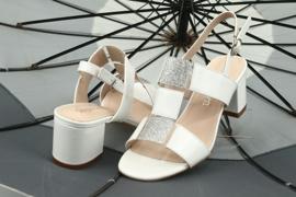 Sandálias de salto baixo Sergio Leone SK910 branco cinza 4